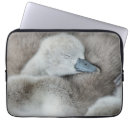 Search for reserve electronics Cute baby animal