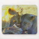 Search for conservation electronics Wildlife