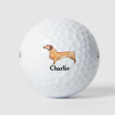 Search for dachshund golf balls Animal