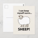 Search for lamb postcards Fluffy