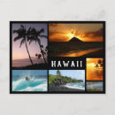 Search for hawaii souvenirs postcards Beach