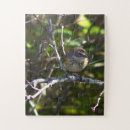 Search for warbler photography Animals