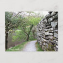 Search for ireland birthday cards Green