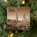 Search for scenic christmas tree decorations Desert