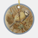 Search for bluetit Bird