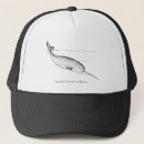 Search for narwhal hats Sea
