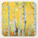 Search for 1 of colours coasters Superstock