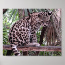 Search for belise art Cat