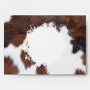 Search for cow envelopes Chic