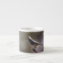 Search for titmouse mugs Nature