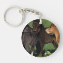Search for foal key rings Bob langrish