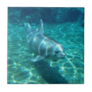 Search for aquamarine tiles Blue