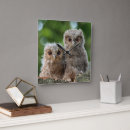 Search for young bird art Cute