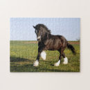 Search for clydesdale horses puzzles Equestrian