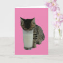 Search for cat in glasses cards Kitten