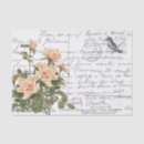Search for rose box postcards Flower