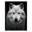 Search for arctic wolf art Majestic