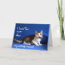 Search for from cat mothers day cards Blue
