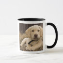 Search for labrador puppy mugs Retriever
