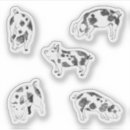 Search for cow spot stickers Farm animal
