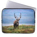 Search for deer laptop cases Alaska