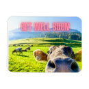 Search for get well magnets Funny
