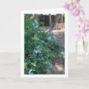 Search for florist cards Plants