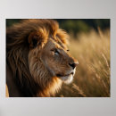 Search for beautiful lion art Beauty