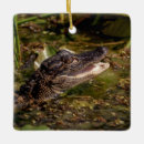 Search for amphibian christmas tree decorations Animal