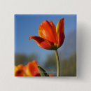 Search for blue tulip badges Flower