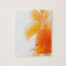 Search for goldfish puzzles Nature