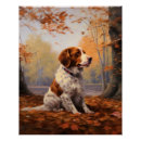 Search for brittany dog posters Pet