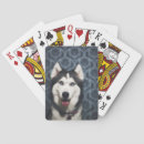 Search for puppy playing cards Snow dog