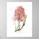 Search for laelia art Vintage