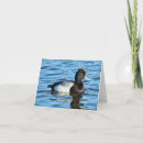 Search for birdwatching cards Birding