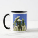 Search for desert flowers mugs Wildflower