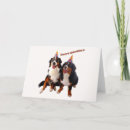 Search for bernese cards Bernese mountain dogs
