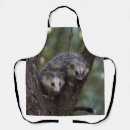 Search for possum aprons Wildlife