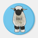 Search for sheeps magnets Wool