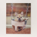 Search for french bulldog puzzles Domestic animals