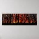 Search for forest fire posters Orange