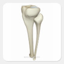 Search for doctor office stickers Small business