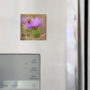 Search for template magnets Photography