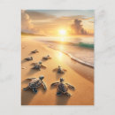 Search for turtle beach postcards Sea