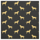 Search for labrador retriever fabric Dog