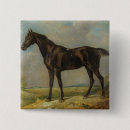 Search for horse riding badges Horses