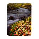 Search for along cards Autumn