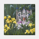 Search for purple iris magnets Yellow