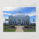 Search for buffalo postcards Vintage