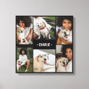 Search for pet collage canvas prints Modern
